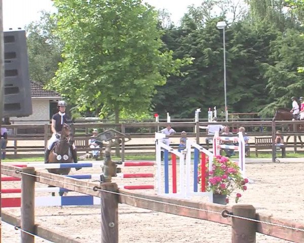 Reitturnier HH-Klein Offenseth/Hell-Stallion-Stud 2016