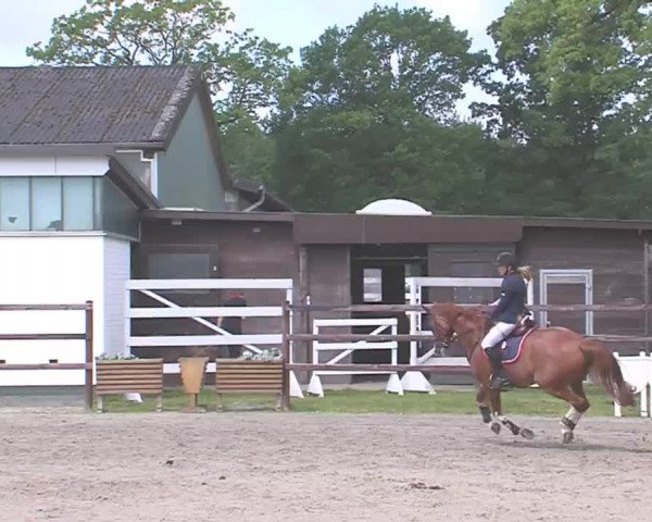 Reitturnier HH-Klein Offenseth/Hell-Stallion-Stud 2016