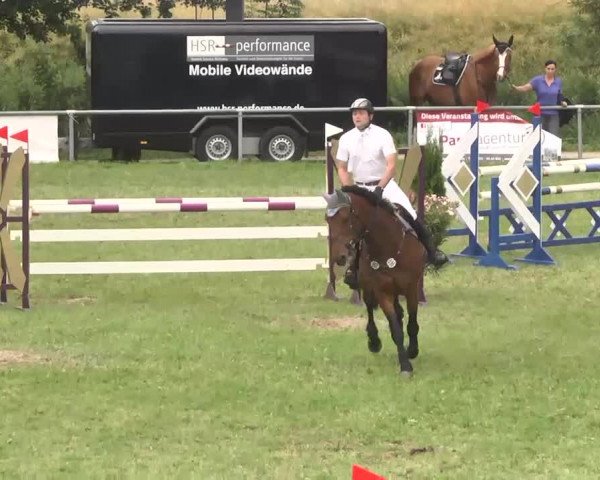 Reitturnier Herrenberg-Gültstein 2016