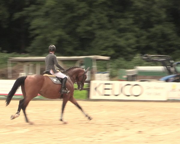 Reitturnier Hemer-Oese an der Edelburg 2016