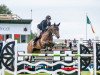 jumper Bumblebee (Oldenburg show jumper, 2008, from Sergeant Pepper I)