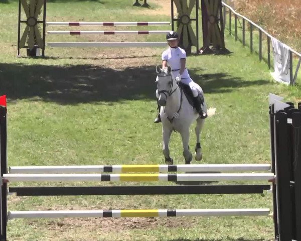 Reitturnier Herrenberg-Gültstein 2016