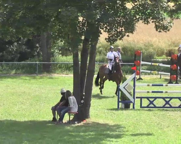 Reitturnier Herrenberg-Gültstein 2016