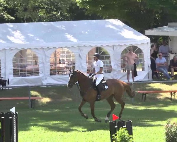 Reitturnier Herrenberg-Gültstein 2016
