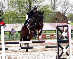 jumper Cadoc FHR (Holsteiner, 2013, from Cormint)