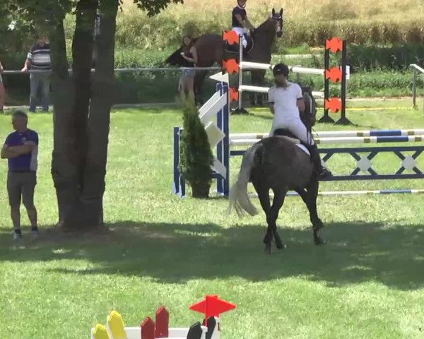 Reitturnier Herrenberg-Gültstein 2016