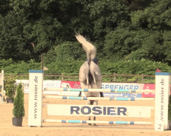 Reitturnier Hemer-Oese an der Edelburg 2016