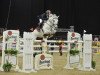 horse Chartbreaker 2 (Oldenburg show jumper, 2003, from Come On)