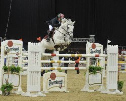 horse Chartbreaker 2 (Oldenburg show jumper, 2003, from Come On)