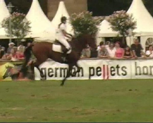 jumper Lawendell (German Warmblood, 1999, from Lavendel)