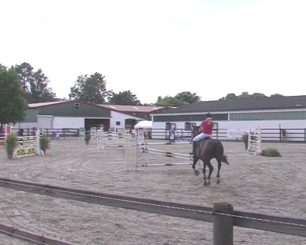 Reitturnier HH-Klein Offenseth/Hell-Stallion-Stud 2016