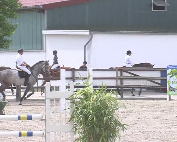 Reitturnier HH-Klein Offenseth/Hell-Stallion-Stud 2016