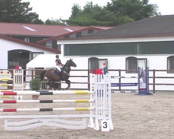 Reitturnier HH-Klein Offenseth/Hell-Stallion-Stud 2016