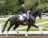 dressage horse Pokerstar (Trakehner, 2015, from Imhotep)