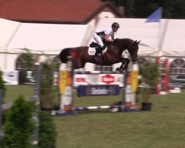 FEI Reitturnier Steinhagen (GER) 2016
