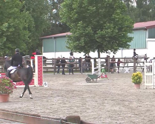 Reitturnier HH-Klein Offenseth/Hell-Stallion-Stud 2016