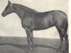 broodmare Irba (Budyonny, 1949, from Islam)