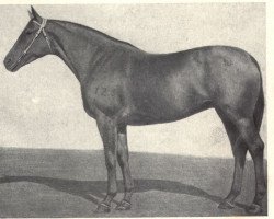 broodmare Irba (Budyonny, 1949, from Islam)