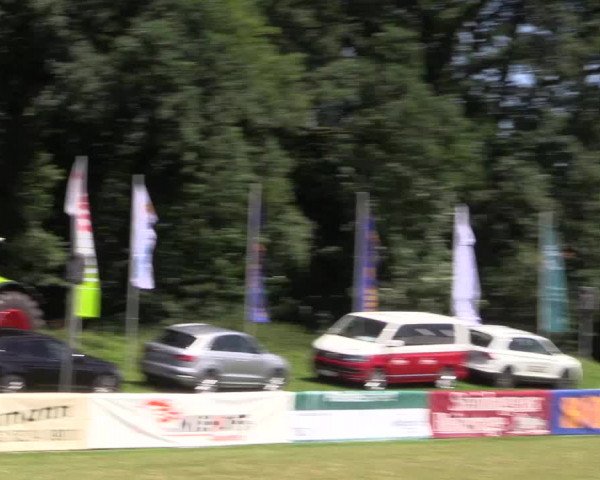 FEI Reitturnier Steinhagen (GER) 2016