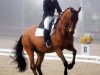 dressage horse Rathbawn Valet (Russian Trakehner, 1994)