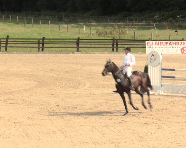 Reitturnier Hemer-Oese an der Edelburg 2016