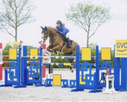 jumper Curly Sue 155 (Hanoverian, 2009, from Czardas 30)