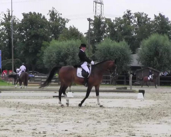 Reitturnier Münster-Roxel 2016