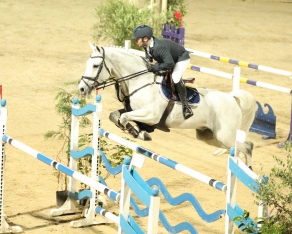 jumper Captain van Overis Z (Zangersheide riding horse, 2009, from Clintissimo 197 FIN)