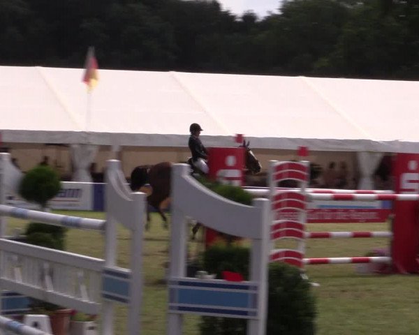 FEI Reitturnier Steinhagen (GER) 2016