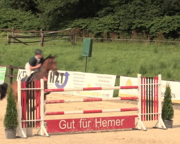 Reitturnier Hemer-Oese an der Edelburg 2016