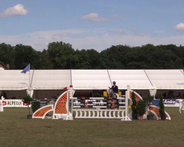 FEI Reitturnier Steinhagen (GER) 2016