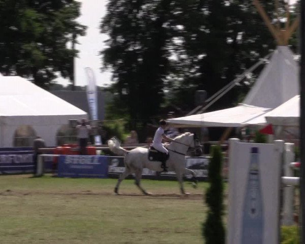FEI Reitturnier Steinhagen (GER) 2016