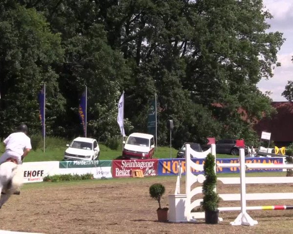 FEI Reitturnier Steinhagen (GER) 2016