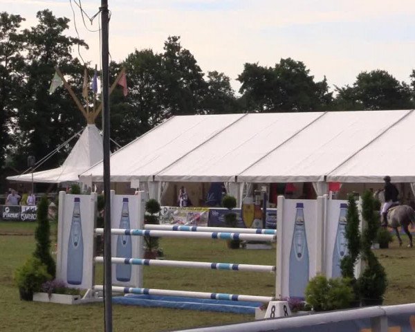 FEI Reitturnier Steinhagen (GER) 2016