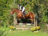 jumper Sindy IX CH (Swiss Warmblood, 2007, from Saphir von der Rossi CH)