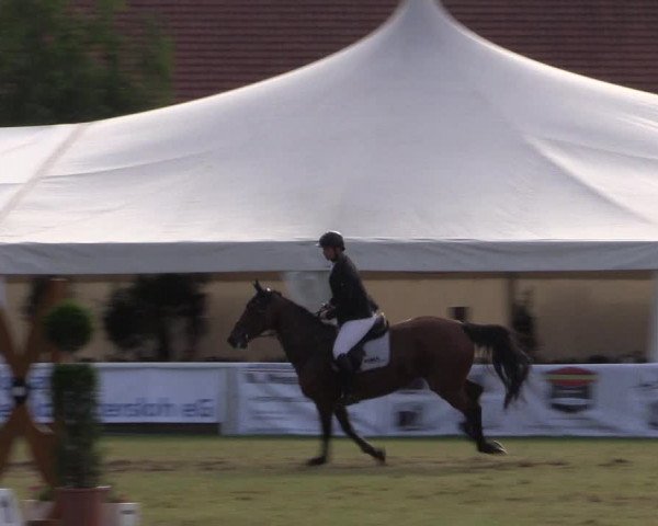 FEI Reitturnier Steinhagen (GER) 2016