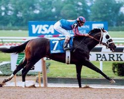 stallion Yonaguska xx (Thoroughbred, 1998, from Cherokee Run xx)