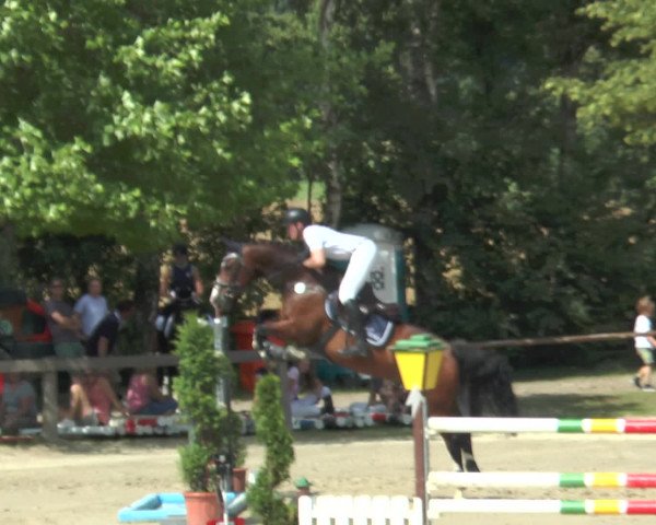 Reitturnier Münster-Roxel 2016