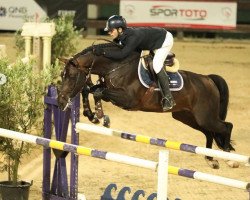 jumper S.I.E.C. Diamond Flying (Swiss Warmblood, 2009, from Diamant de Semilly)