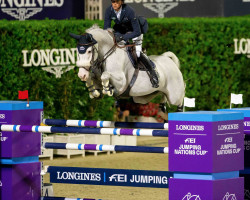 jumper Carlson 86 (German Sport Horse, 2008, from Colorit)