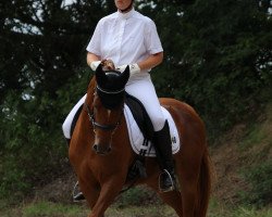 dressage horse Catan L (German Riding Pony, 2014, from Charm of Magic)