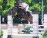 jumper Siec Luna (Oldenburg show jumper, 2013, from Diarado)