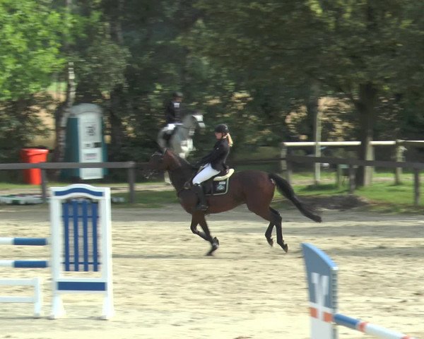 Reitturnier Münster-Roxel 2016