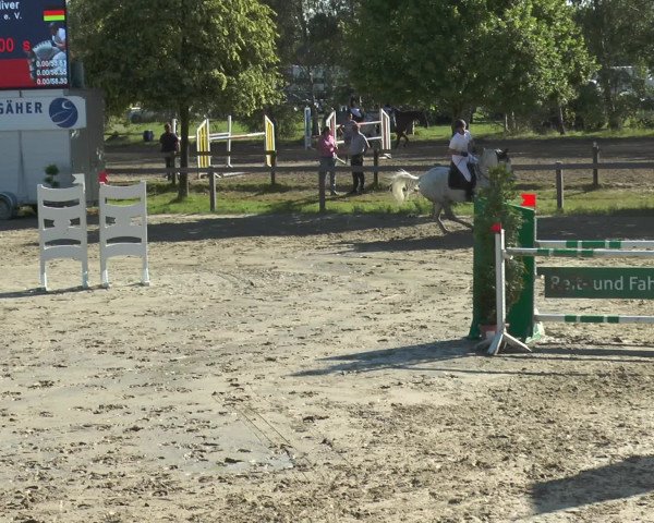 Reitturnier Münster-Roxel 2016