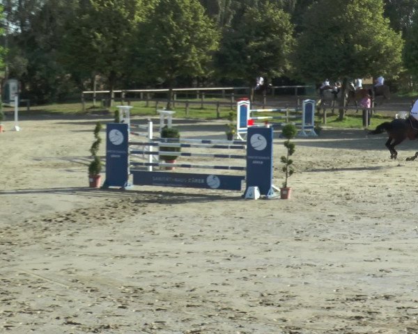 Reitturnier Münster-Roxel 2016