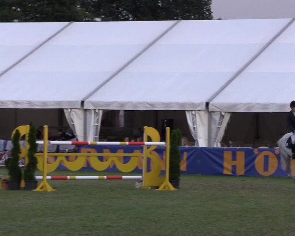FEI Reitturnier Steinhagen (GER) 2016