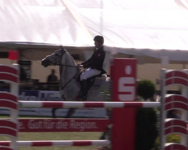 FEI Reitturnier Steinhagen (GER) 2016