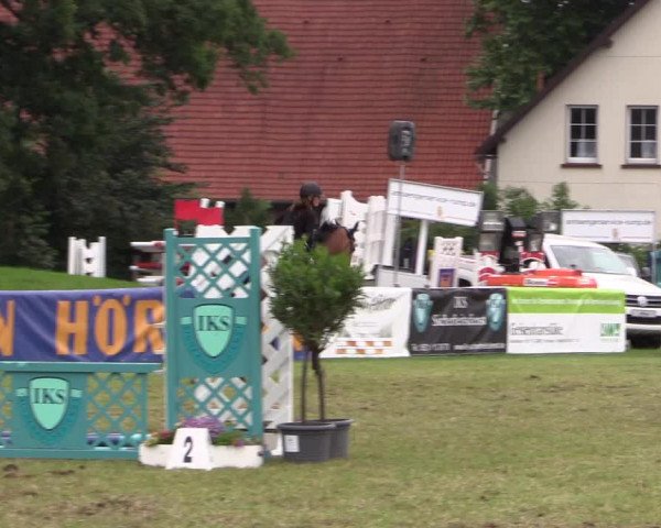 FEI Reitturnier Steinhagen (GER) 2016