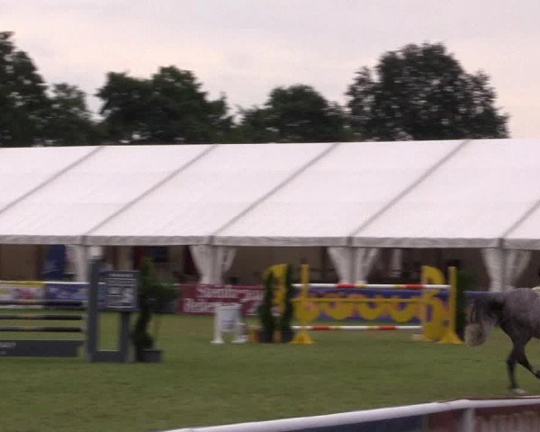 FEI Reitturnier Steinhagen (GER) 2016