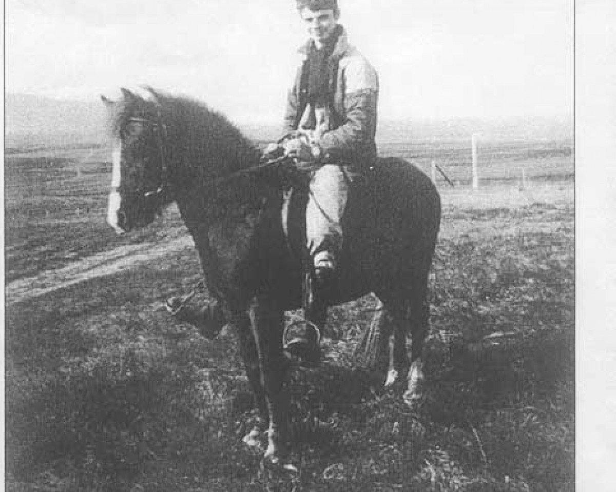 Deckhengst Frami frá Kirkjubæ (Islandpferd, 1973, von Þáttur frá Kirkjubæ)